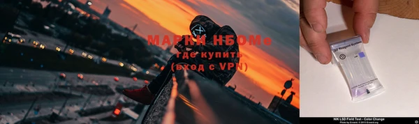 дурь Алексин