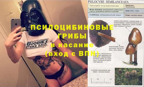 мескалин Алексеевка