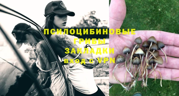спиды Абдулино