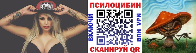 дарк нет формула  цена   Салават  Псилоцибиновые грибы прущие грибы 