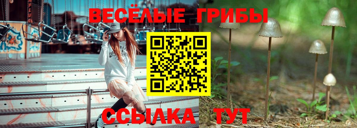 Псилоцибиновые грибы прущие грибы  Вход с VPN  Салават  Галлюциногенные грибы Magic Shrooms 