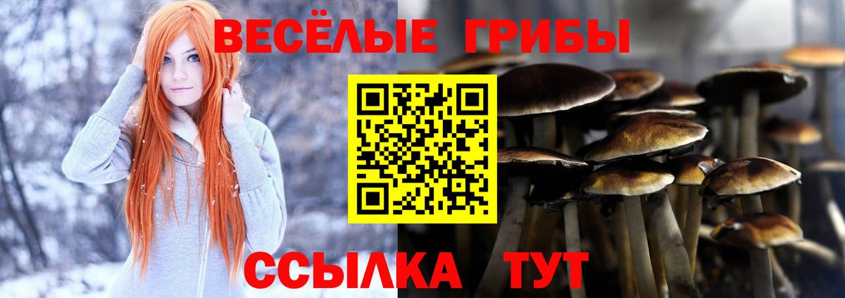 Галлюциногенные грибы Psilocybine cubensis Салават